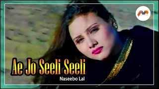 Ye-Jo-Sili-Sili-Aundi-Hai-Hawa-Lyrics-Naseebo-Lal